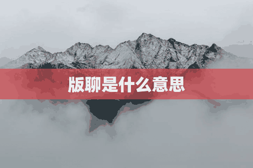 版聊是什么意思